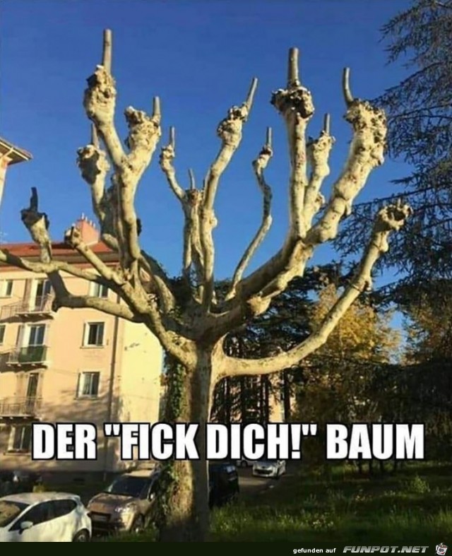 Lustiger Baum