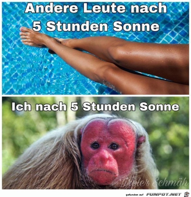 Zu viel Sonne Zu viel Sonne