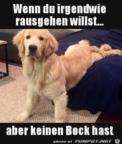 Rausgehen