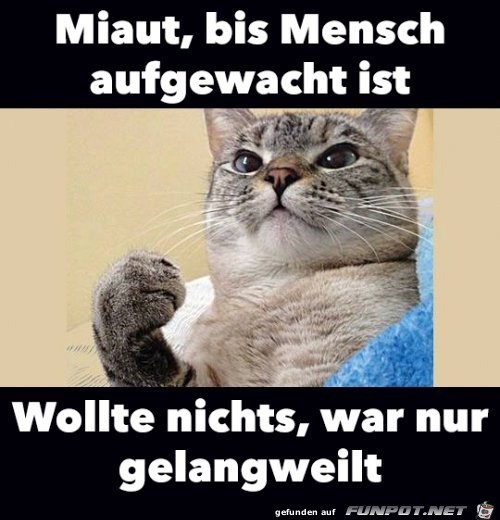 War nur gelangweilt