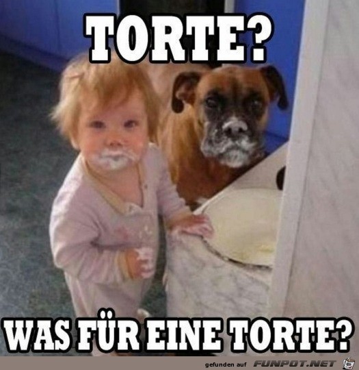 Welche Torte? Welche Torte?