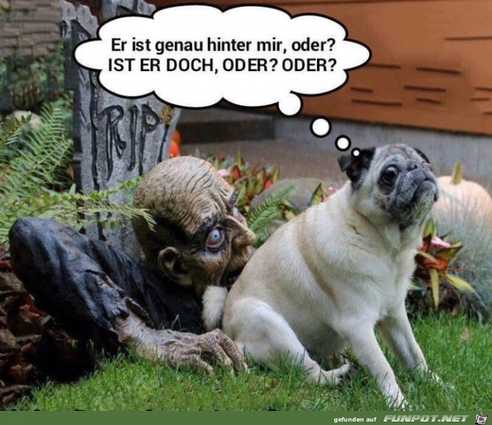 Hinter mir Hinter mir
