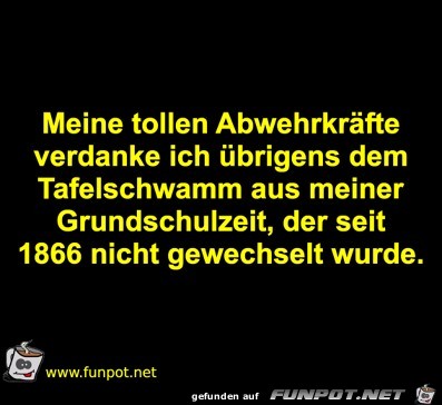 Tafelschwamm Tafelschwamm