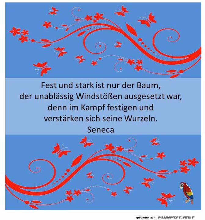 Fest und stark Fest und stark