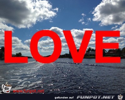 LOVE LOVE