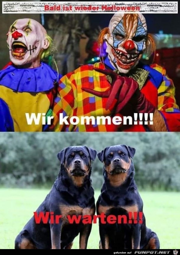 Das macht Sinn Das macht Sinn