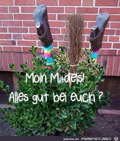 Alles gut?