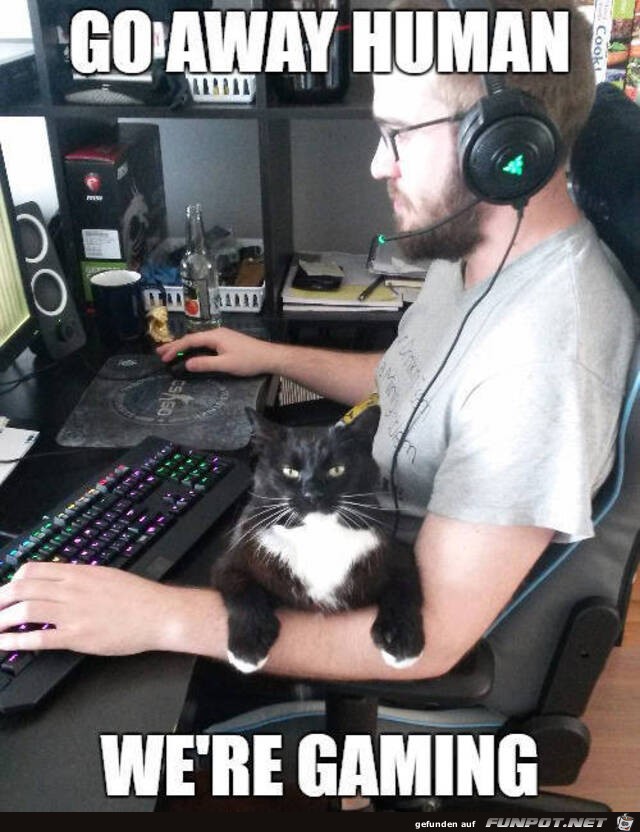 Hau ab wir spielen Hau ab wir spielen
