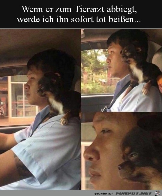 Dieser Blick Dieser Blick
