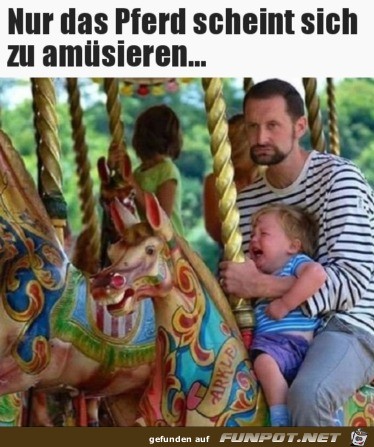 Nur das Pferd ist glücklich Nur das Pferd ist glücklich
