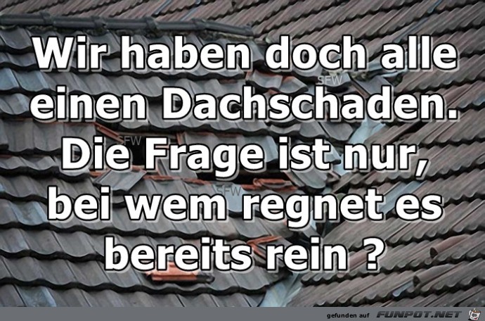 Wir haben doch alle Wir haben doch alle