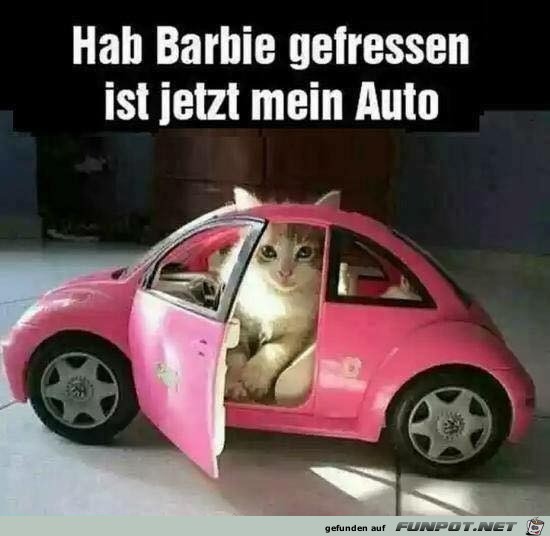 Mein Auto