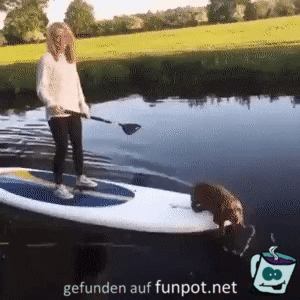 Hund paddelt mit Hund paddelt mit