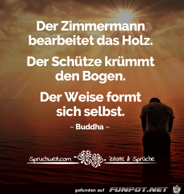 Der Zimmermann Der Zimmermann