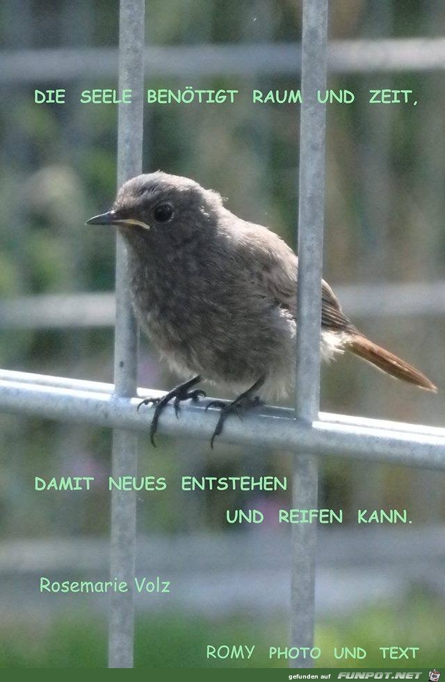 Die Seele benoetigt Raum und zeit Die Seele benoetigt Raum und zeit