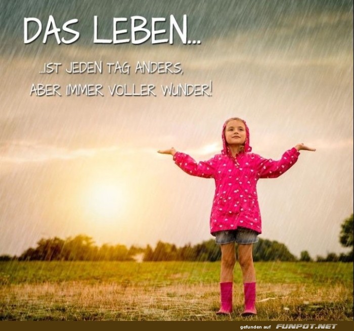 10 sch�ne Spr�che und Lebensweisheiten aus...