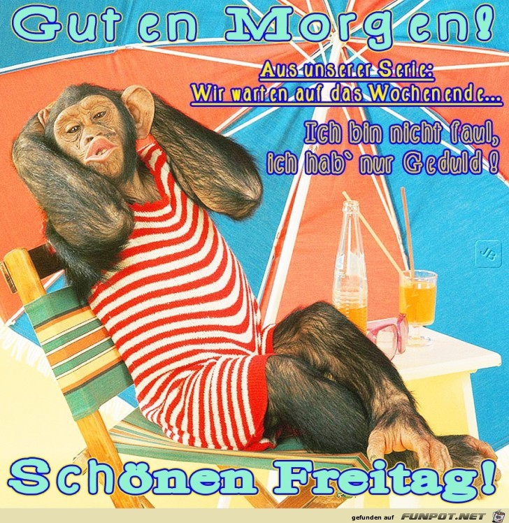 Freitag Freitag