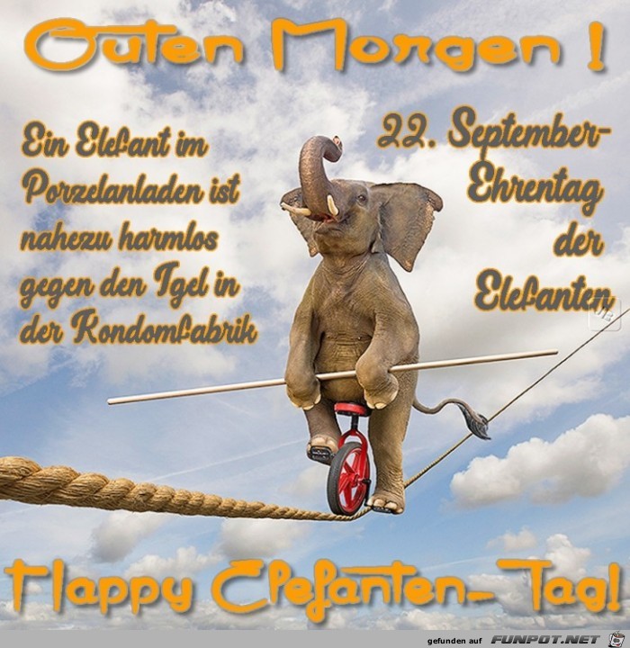 Elefanten Tag Elefanten Tag