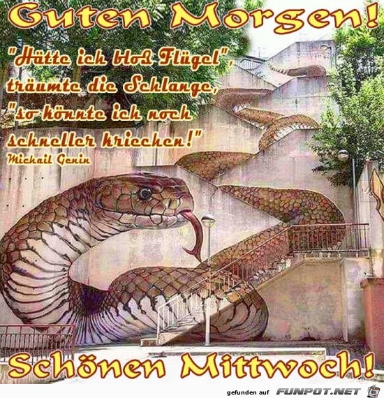 Mittwoch Mittwoch