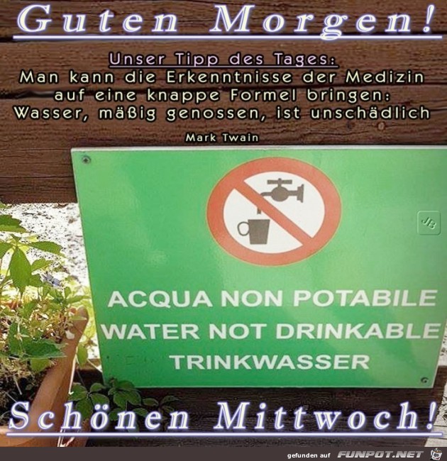 Mittwoch Mittwoch