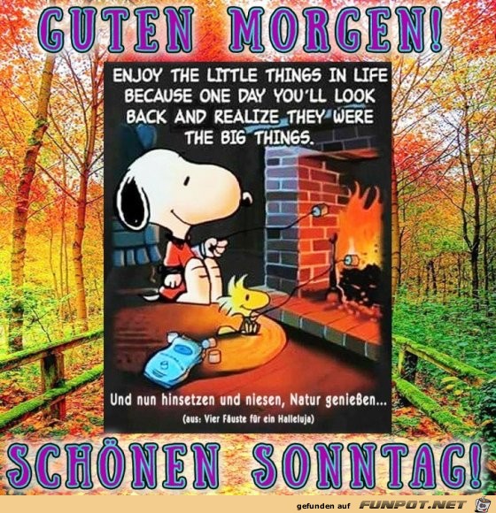 Sonntag Sonntag