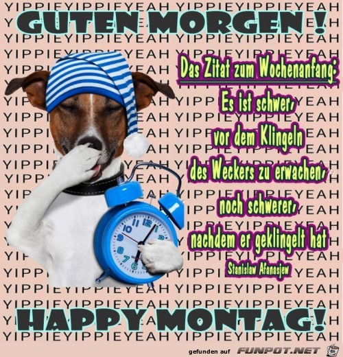 Montag Montag