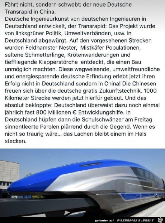 wir sind alle so bescheuert wir sind alle so bescheuert