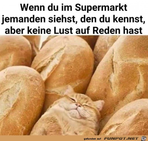 Gut versteckt Gut versteckt