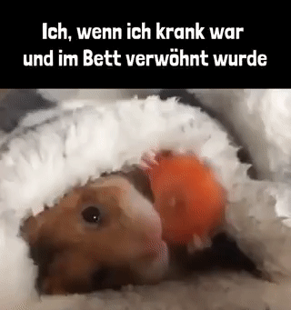 Das ist heute leider nicht mehr so Das ist heute leider nicht mehr so