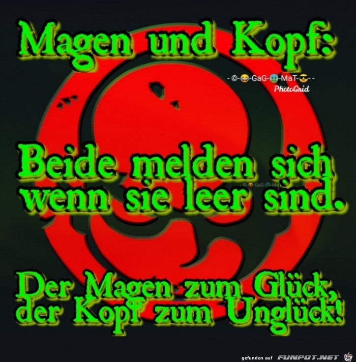 Magen und Kopf