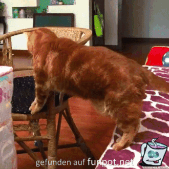 Ungünstig Ungünstig