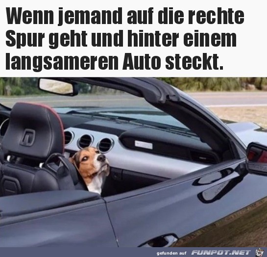 Ätsch Ätsch
