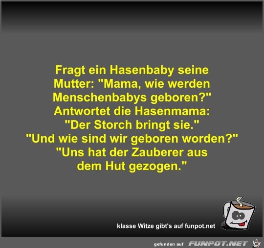 Fragt ein Hasenbaby seine Mutter