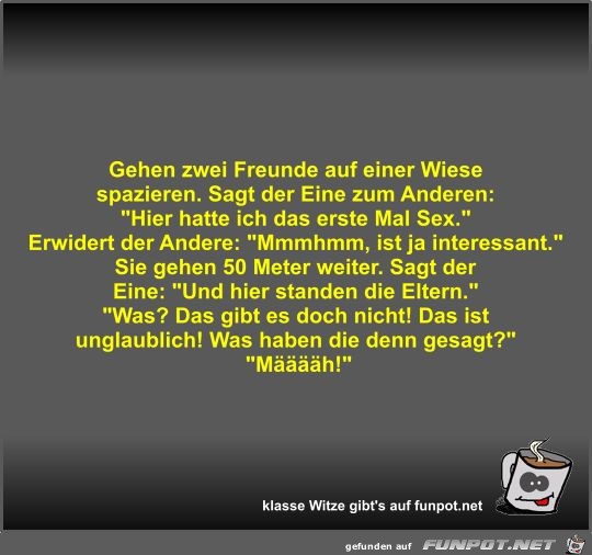 Gehen zwei Freunde auf einer Wiese spazieren Gehen zwei Freunde auf einer Wiese spazieren