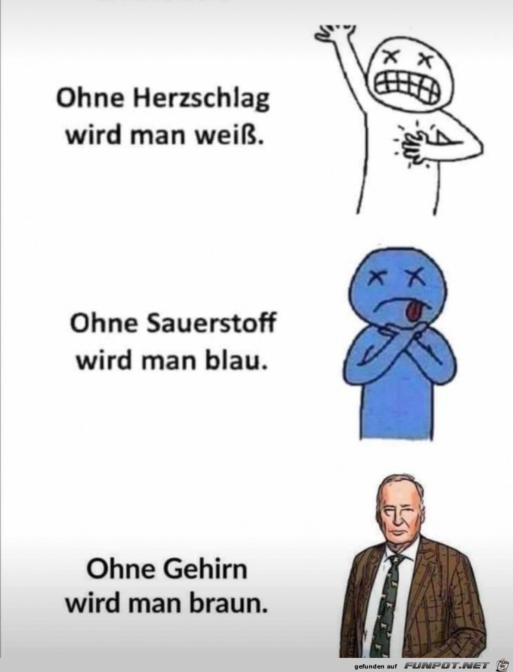 ohne Gehirn ohne Gehirn