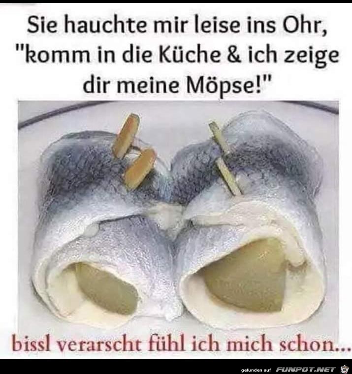 Ich zeig dir meine Moepse