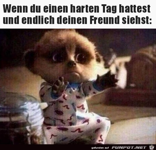 Harter Tag Harter Tag