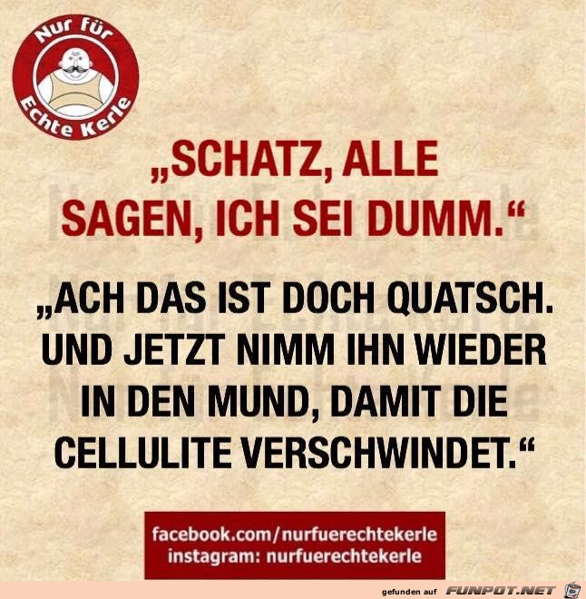 Lustiger Spruch Alle Sagen Ich Bin Dumm