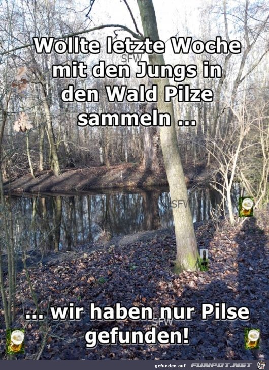 Wollte letzte Woche