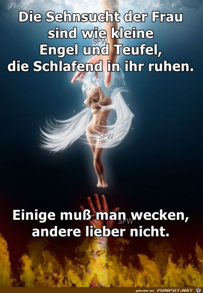 Die Sehnsucht der Frau Die Sehnsucht der Frau