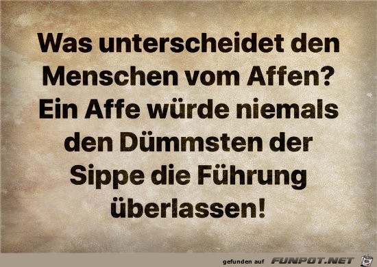 Unterschied Unterschied