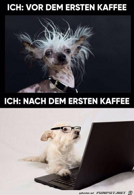 Ich Ich