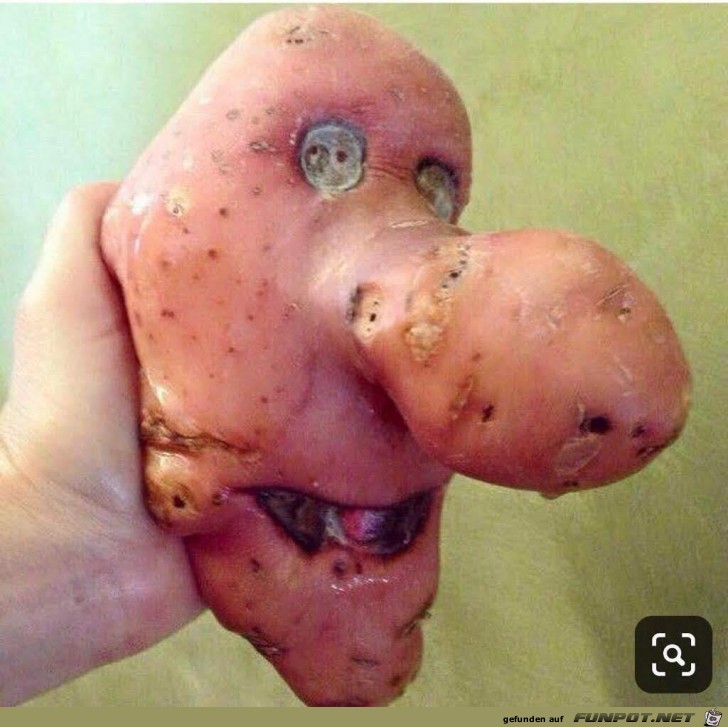 Kartoffel-Gesicht