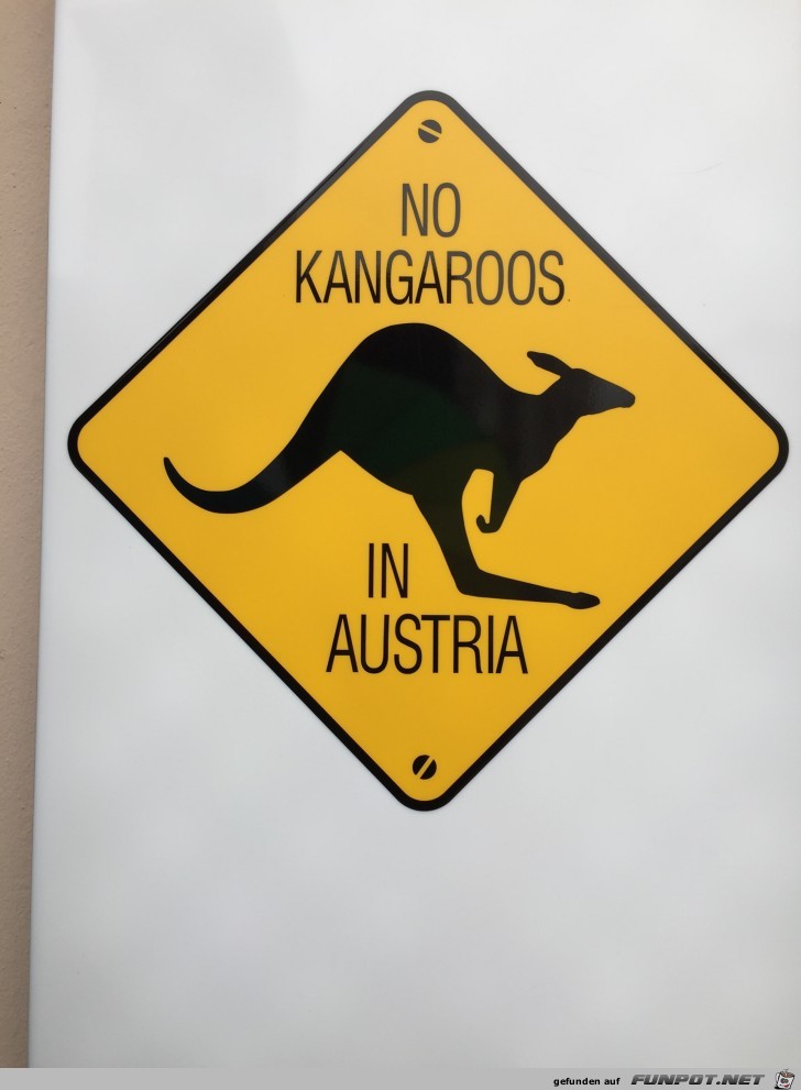 No Kangaroos