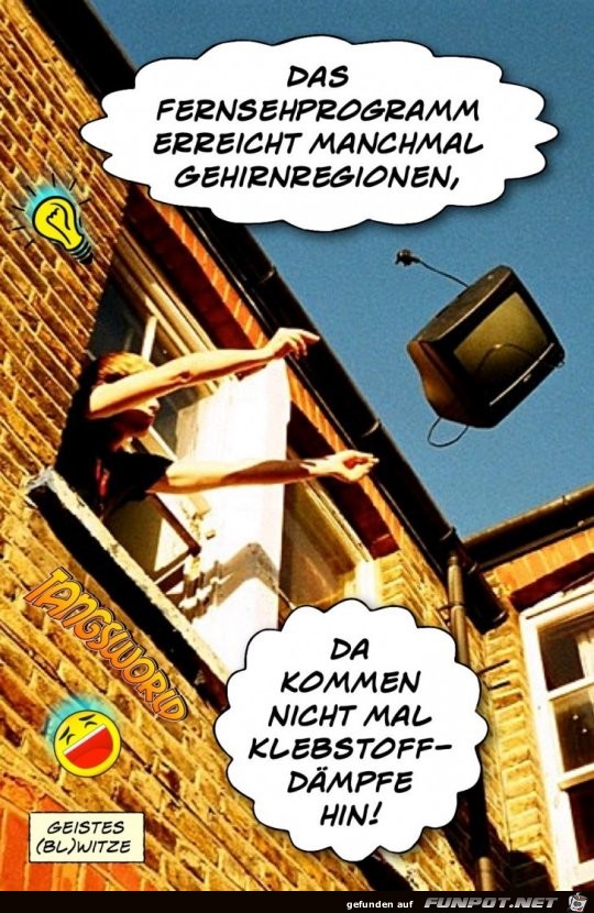 das Fernsehprogramm das Fernsehprogramm