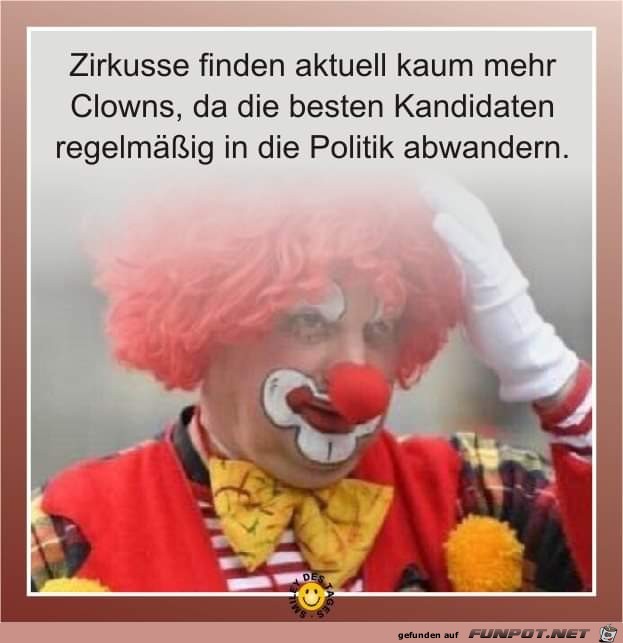 zirkusse finden aktuell