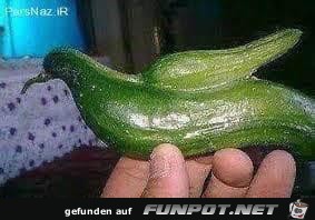 zuchini