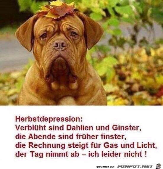 Herbstdepression Herbstdepression