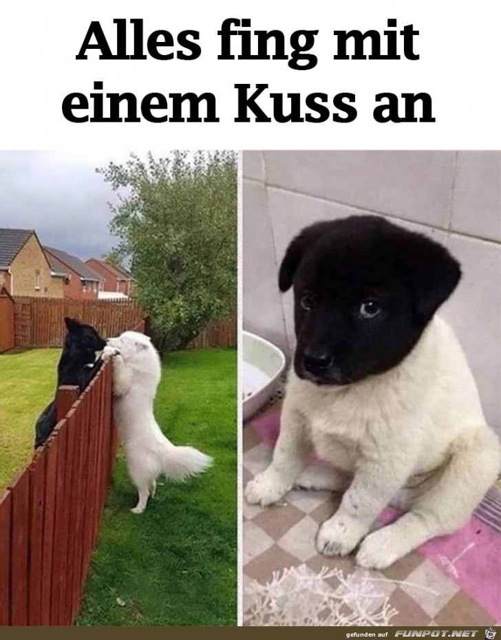 alles fing mit einem kuss an alles fing mit einem kuss an