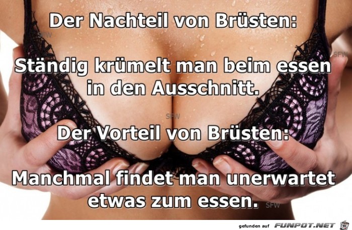 Der Nachteil von Bruesten